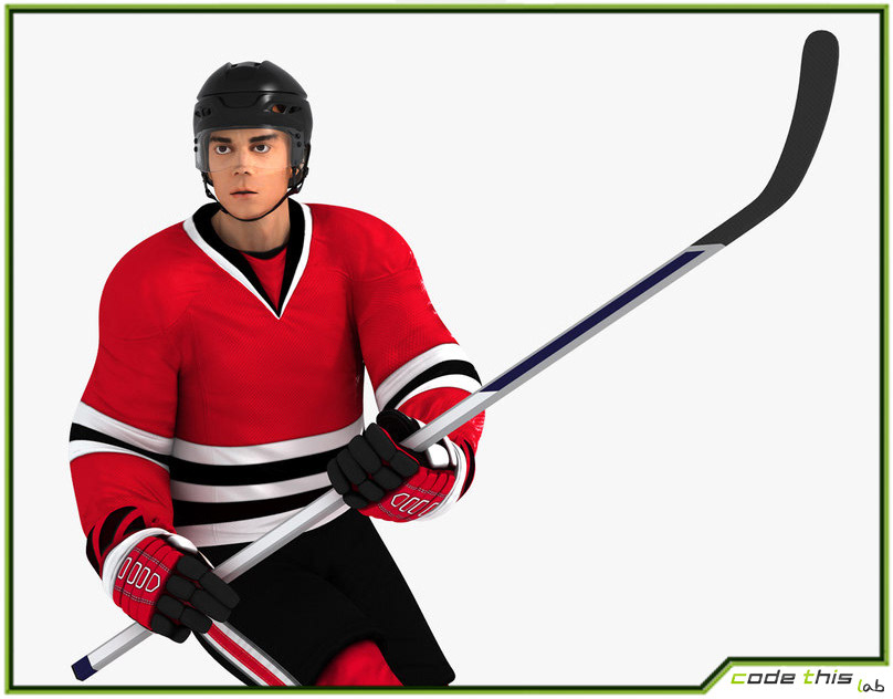 Hockey Player Ottawa Senators Rigged 3D model rigged