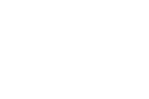 v-ray